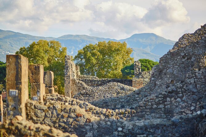 Pompeii Private & Personalized Tour with archeology expert guide - Practical Tips Before You Go: Shoes, Sun, and Bags