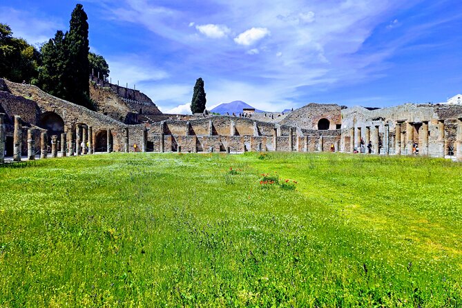 Pompeii private tour from Naples. The best choice for cruisers - Naples-to-Pompeii pickup that fits cruise schedules