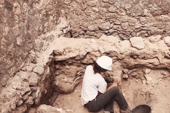 Pompeii Private Tour with an Archaeologist and Skip The Line - The Forum Circuit: Granaries, Markets, Basilica, and the Temple of Jupiter