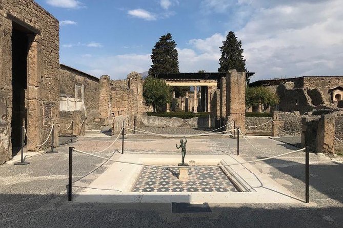 Pompeii Private Tour with Expert Guide - Price and value: what you’re paying for at $98.51