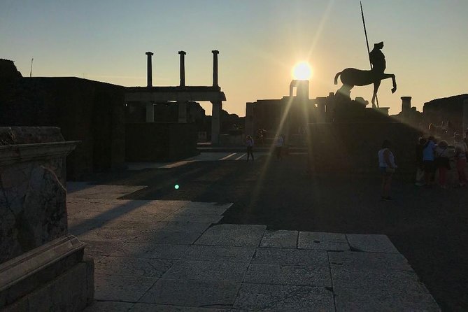 Pompeii Private Tour with Expert Guide - Logistics that affect your comfort