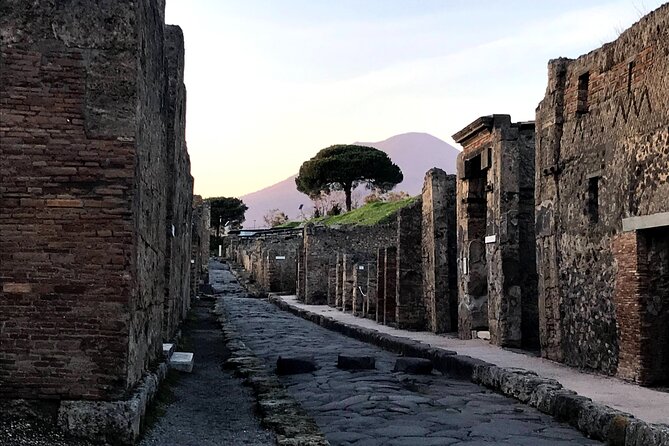 Pompeii Private Tour with expert local guide - Price and tickets: how to judge value at $228.78 per group