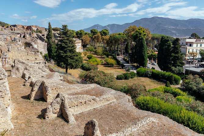 Pompeii PRIVATE TOUR With Locals: Ticket & Guide Included - Getting in: meeting point and fast-track entrance reality