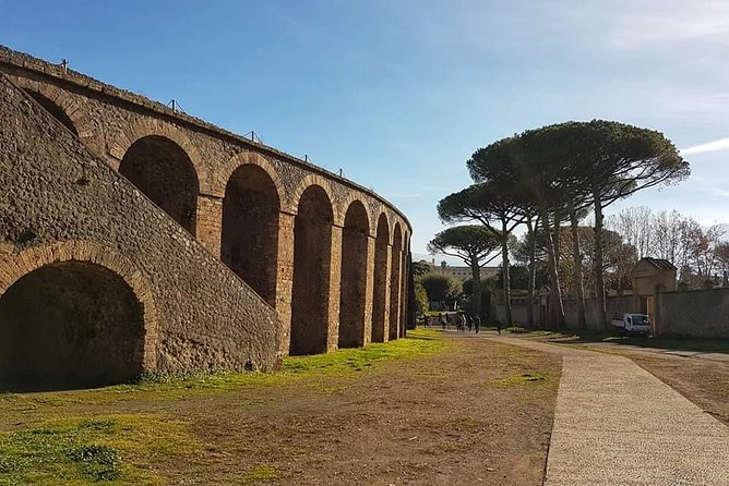 Pompeii Ruins: Day Trip from Naples with skip the line ticket - Price and Value: What You’re Paying For at $81.10