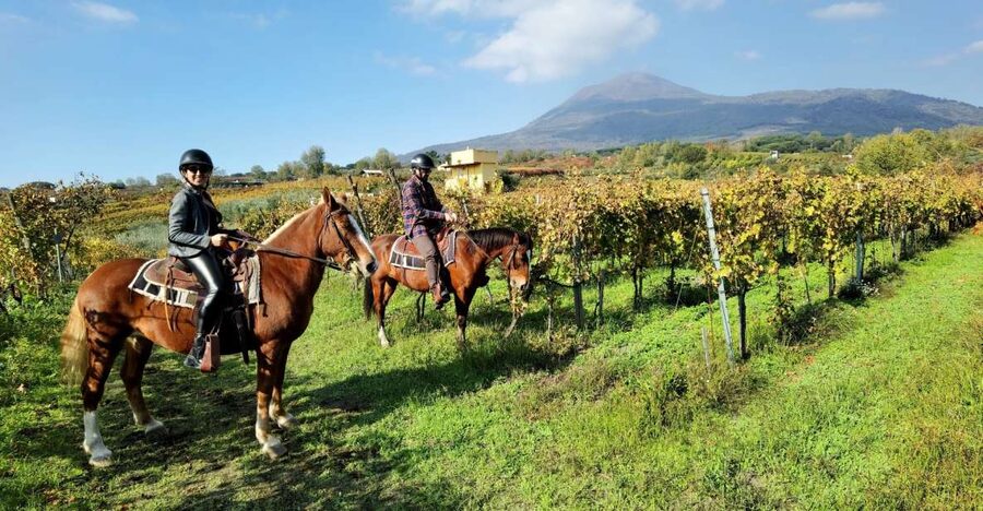 Pompeii: Ruins Tour and Mount Vesuvius Horseback Ride - Key highlights you’ll feel right away