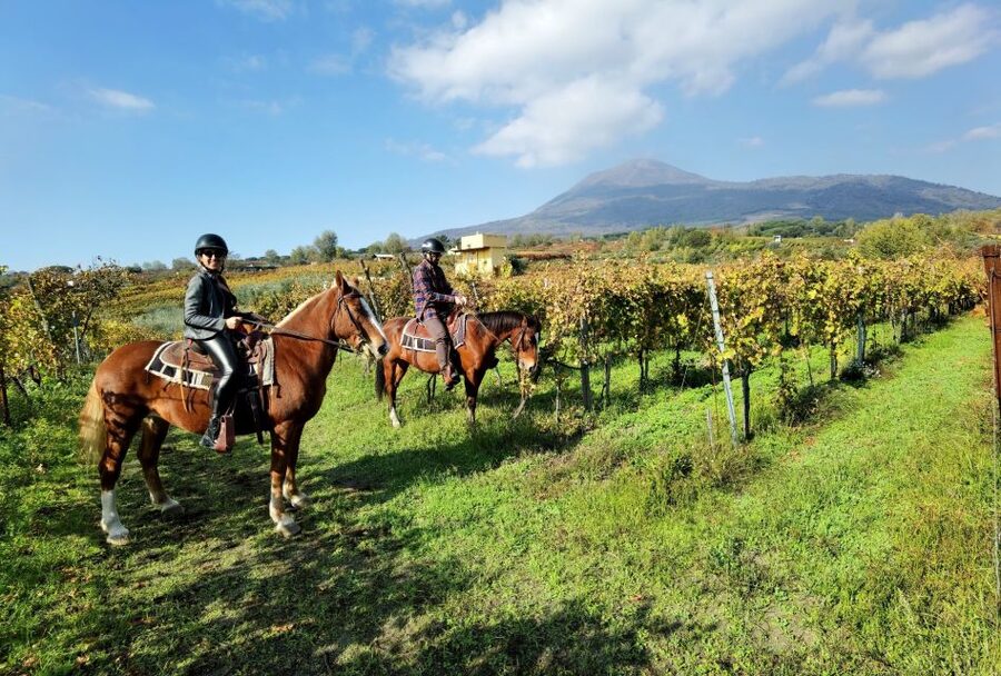 Pompeii: Ruins Tour and Mount Vesuvius Horseback Ride - Pompeii Tickets, the Meeting Point, and What to Pack