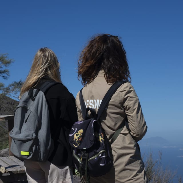 Pompeii Ruins & Vesuvius Full-Day Tour from Pompeii - Key points to know before you go