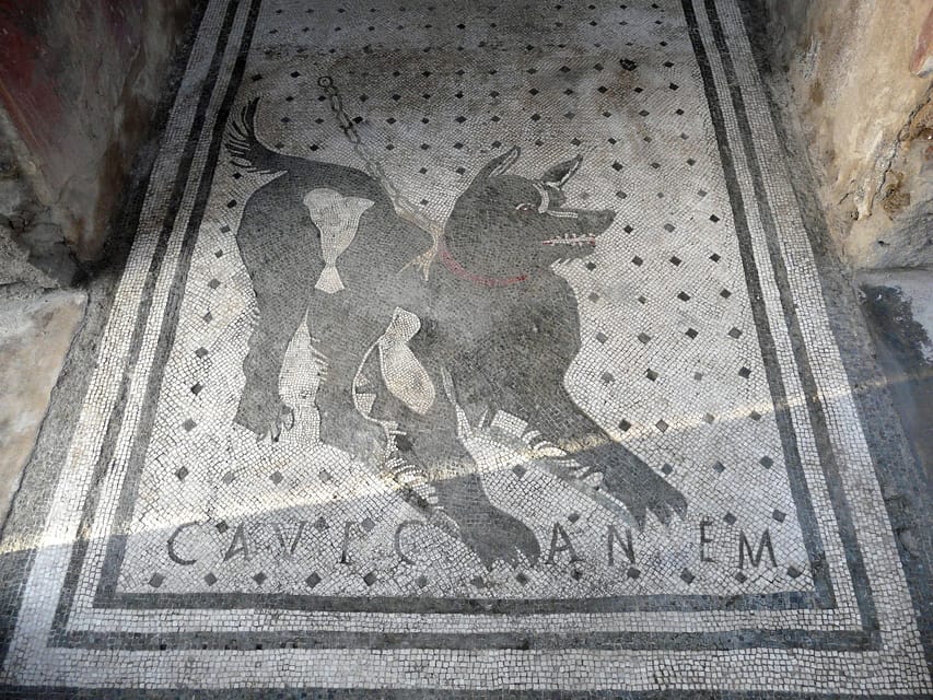 Pompeii: Skip-the-Line Entry & Audioguide - Key highlights you’ll care about
