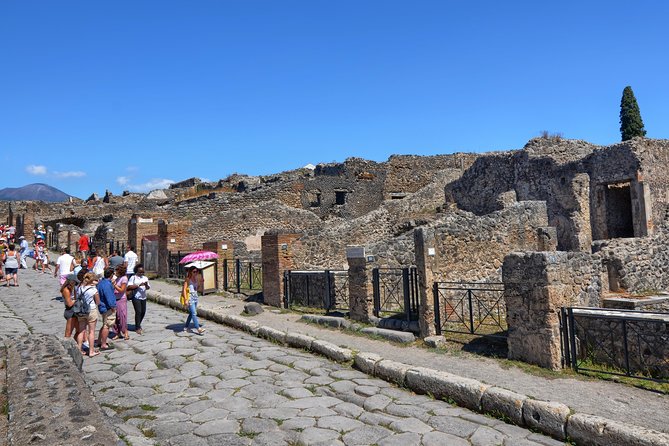 Pompeii: Skip-the-line-Ticket with Guided Tour - Practicalities That Matter: ID, Dogs, and Accessibility