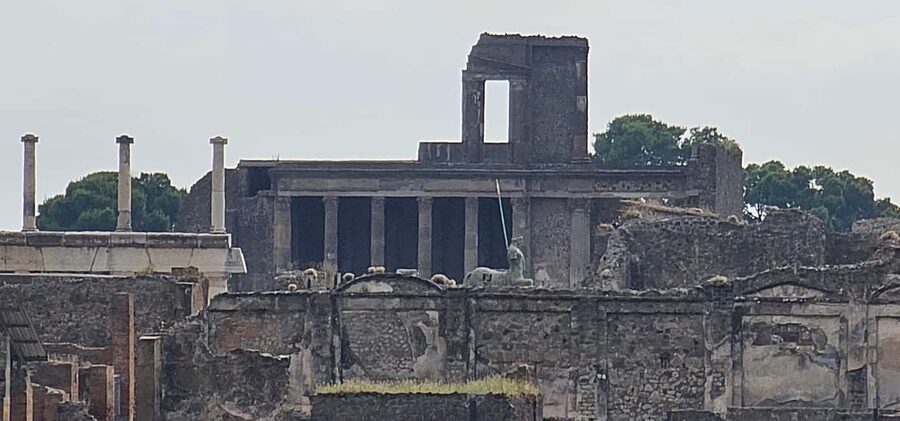 Pompeii, skip-the-line ticket with smartphone audio guide on App - Audio guide on your smartphone: helpful, but handle ID with care