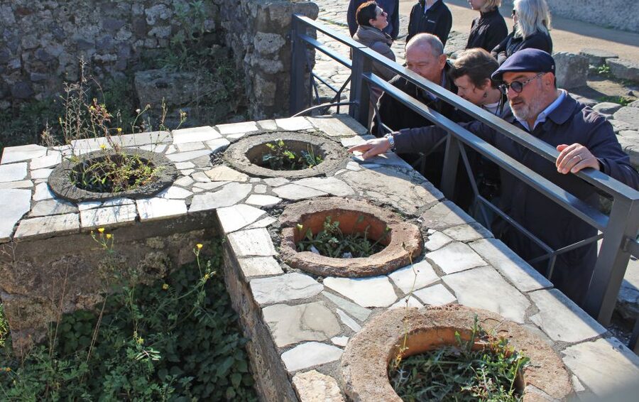 Pompeii: Skip-the-Line Tickets and Tour with Archaeologist - Homes, bathhouses, bakeries, and the “routine” lens