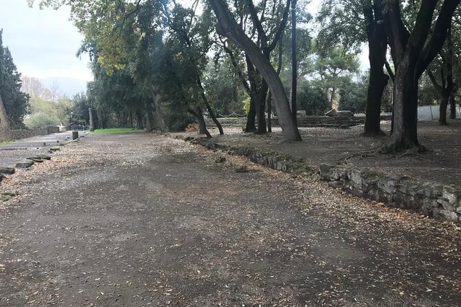 Pompeii Small Group Guided Tour with Skip-the-line Admission - Pompeii in 2 hours: why this small-group plan is good value
