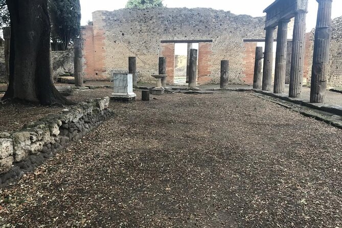 Pompeii Small Group Guided Tour with Skip-the-line Admission - Via dell’Abbondanza and the Forum: Pompeii’s main-street energy