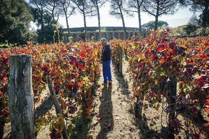 Pompeii Small Group Tour & Food/Wine tasting at Mt. Vesuvius - Pompeii feels clearer with an archaeologist, not a megaphone