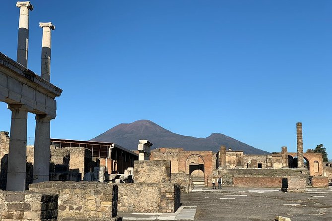 Pompeii Small Group Tour & Food/Wine tasting at Mt. Vesuvius - Casa Setaro Winery: Vesuvius wine tasting with real meal courses