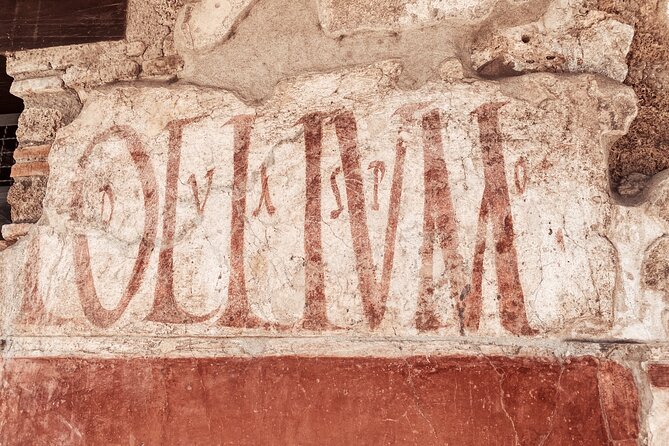 Pompeii Small Group with an Archaeologist and Skip The Line - Granai del Foro and the casts: the tragedy you’ll never forget