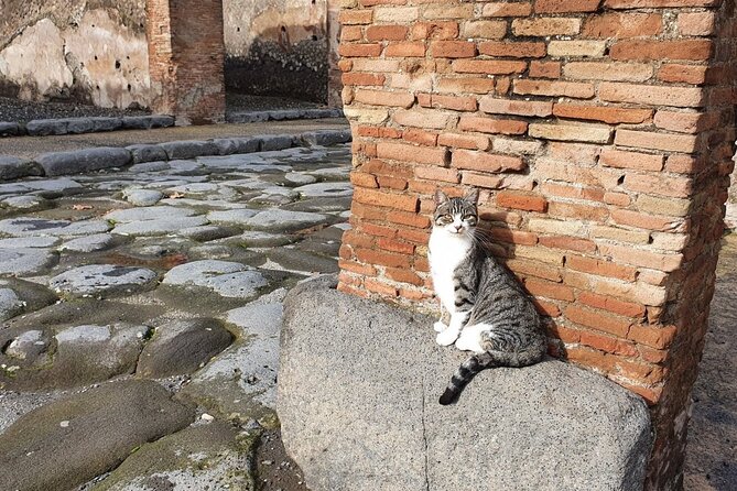 Pompeii the Ancient City (Tour+Transfer) - Entering the Pompeii Archaeological Park with a real plan