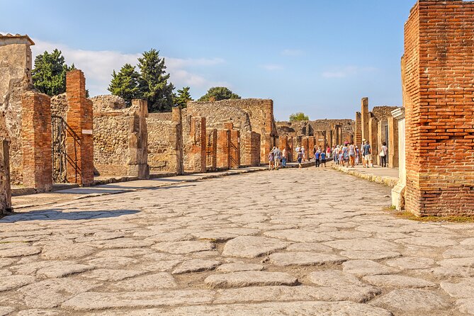 Pompeii Ticket + Tour with Optional Tasting Experience at Pompeii - Guide styles you can look for (and how to choose the right vibe)
