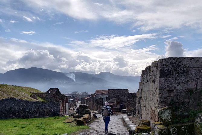 Pompeii to Vesuvius Tour with Skip-the-Line Tickets to Ruins & Volcanic Crater - Pompeii in a 2.5-hour guided window: focus beats wandering