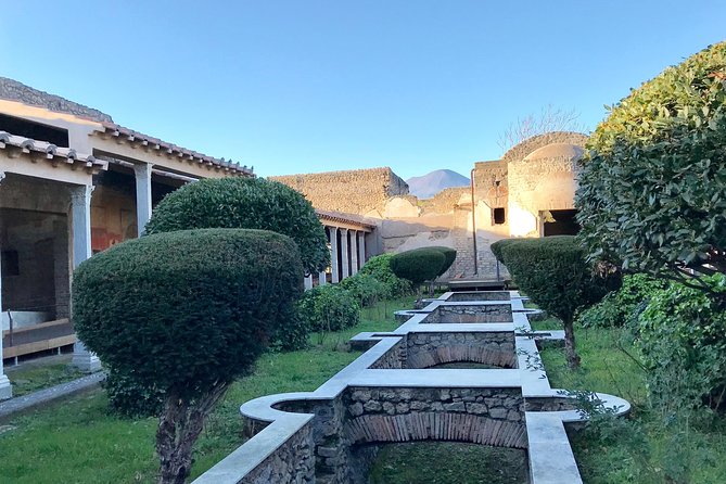 Pompeii Tour & Admission included in a Small Group - Guides that make Pompeii feel personal: Livio, Antonio, Riccardo, Ornella, and others