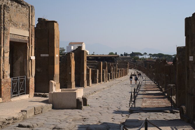 Pompeii Tour & Lunch with Wine Tasting Experience - Group size, pacing, and bathroom reality