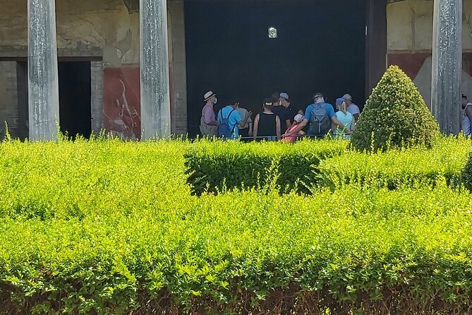 Pompeii tour with archaeologist - Casa del Fauno: bronzes, mosaics, and elite daily life
