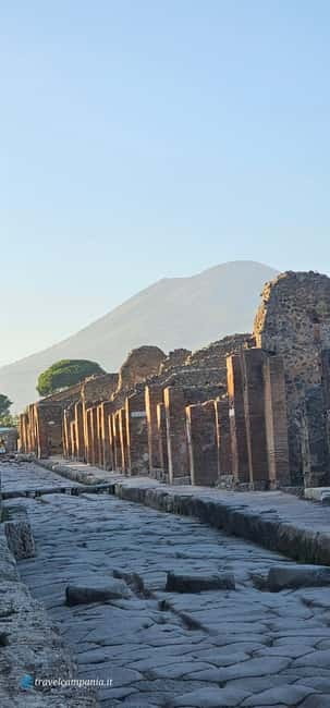 Pompeii: Tour with Archaeologist Guide & Skip-the-Line Entry - What the best guides do with crowded Pompeii