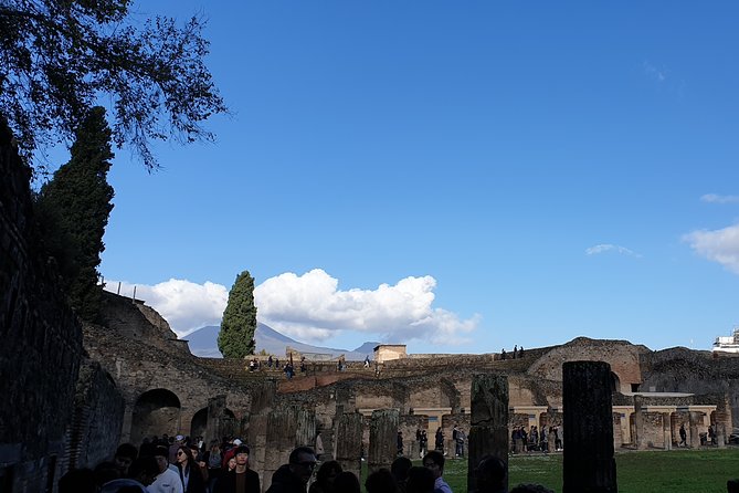 Pompeii tour with Entrance Ticket - Price and value for a $84.66 Pompeii tour with ticket