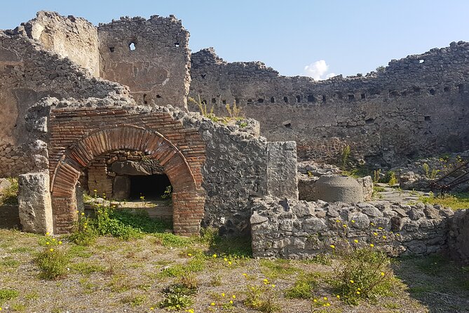 Pompeii Tour with experienced guide - Homes, Gardens, and the Main Street Shops: Seeing Everyday Pompeii