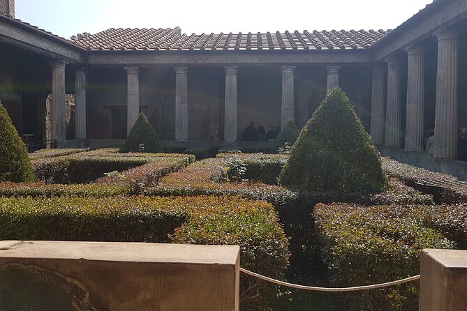 Pompeii Tour with experienced guide - Archaeological Park Core Route: Amphitheater to Gladiator Gym