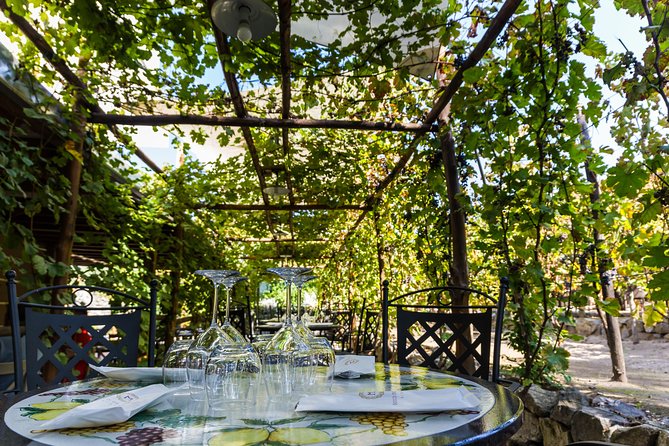 Pompeii Vineyard Escape: Private Wine Tasting & Lunch - Who This Private Pompeii Vineyard Escape Is Best For