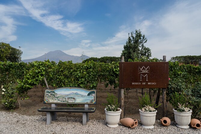 Pompeii Vineyard Escape: Private Wine Tasting & Lunch - Necropolis of 79 AD Stop: Pompeii’s Burial Ground in the Middle of Wine Country