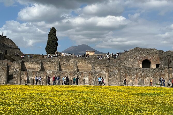 Pompeii walking tour (2hrs) - Entering Pompeii the Right Way: Piazza Esedra First