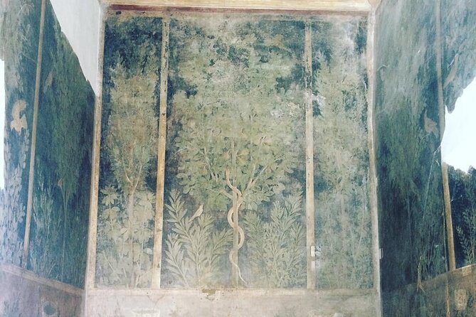 Pompeii walking tour (2hrs) - Frescoes and Marble: Why a Guide Changes Everything