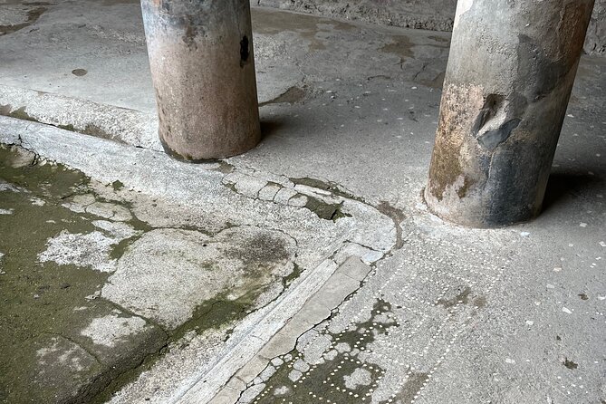 Pompeii walking tour (2hrs) - Who This Private Pompeii Tour Fits Best