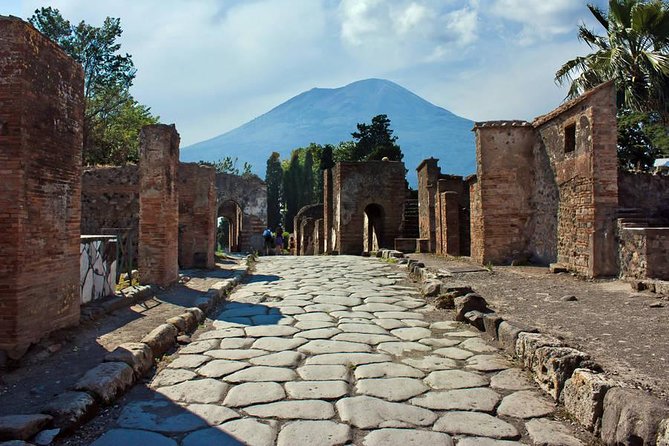 Pompeii Walking Tour with a licensed Guide - Pompeii Frozen by Vesuvius: what you’ll actually see