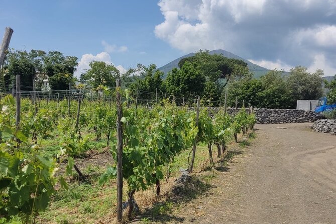 Pompeii & Wine Tasting : Private Day Trip from Naples - The real price question: what you’re paying for (and what you aren’t)
