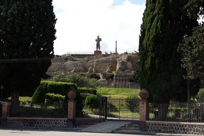 Pompeii & Wine Tasting : Private Day Trip from Naples - Drivers make or break this kind of day