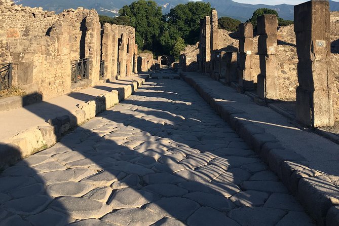 Pompeii with an archaeologist, the original!!! - Where you meet and how to start with confidence