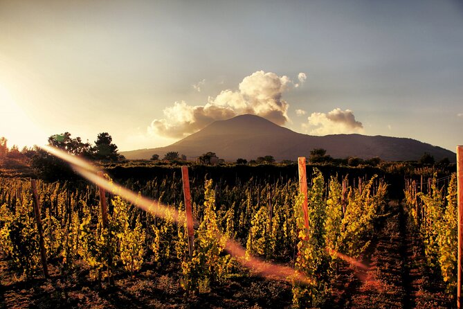 Pompeii with Wine Tasting and Lunch from Naples - Getting to Pompeii: Pickup, Timing, and How the Coach Day Feels