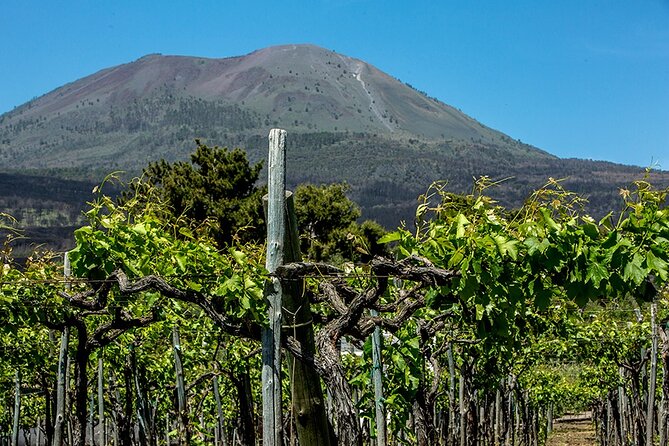 Pompeii with Wine Tasting and Lunch from Naples - The Cameos and Corals Workshop Stop: Culture Time or Extra Wait