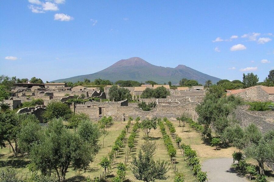 Pompeii with Wine Tasting Private Tour - The transition from ruins to the Vesuvius vineyard