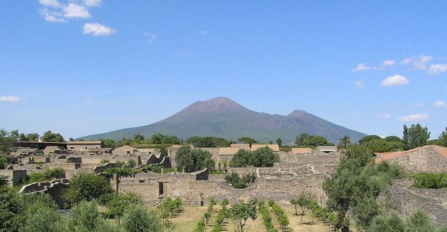 Pompeii with Wine Tasting Private Tour - Getting picked up: Naples, Sorrento, Amalfi Coast, and nearby ports