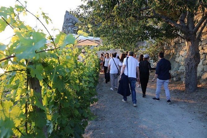 Premium Ischia Wine Tasting Experience with Transfer Included - Timing and Group Size: 3 Hours That Don’t Drag
