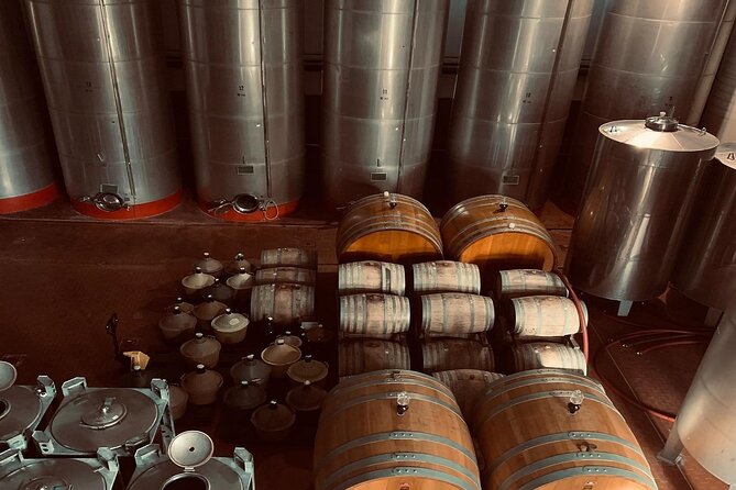 Premium Ischia Wine Tasting Experience with Transfer Included - Who This Is Best For (And Who Should Think Twice)