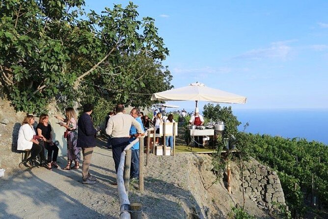 Premium Ischia Wine Tasting Experience with Transfer Included - Cellars and the Indoor Portion: What to Watch For