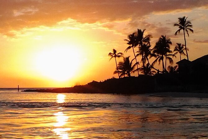 Private Beach or Sunset Boat Tour In Naples Florida - Keewaydin Island Beach Trip: Shell Walks, Dolphin Time, and Real Sand