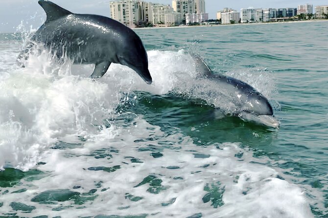 Private Best of Marco Island Dolphin Tour - Why the Tour Begins in Goodland (and Why That Matters)