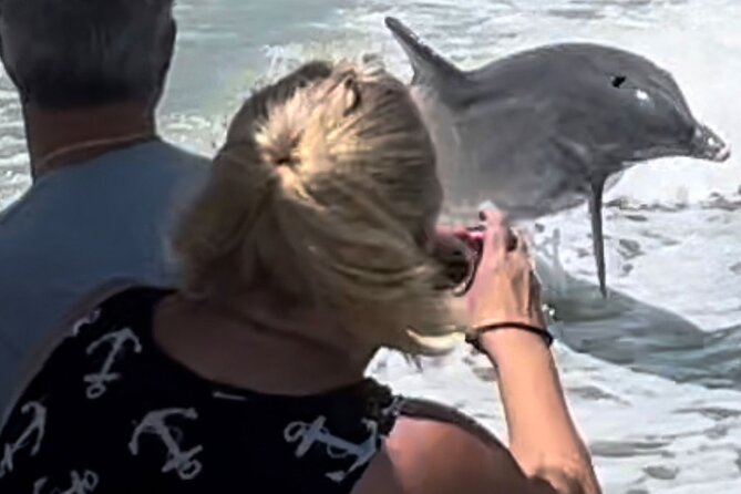 Private Best of Marco Island Dolphin Tour - Price and Value: $500 Per Group for Up to Six