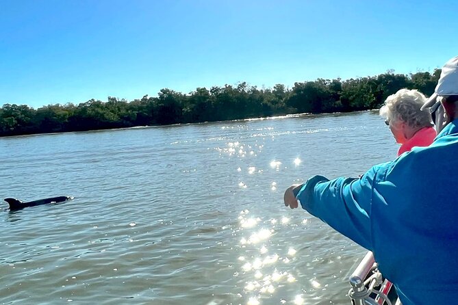 Private Best of Marco Island Dolphin Tour - The Main Event: Ten Thousand Islands Refuge and Wild Dolphins